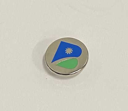 Picture of Lapel Pin